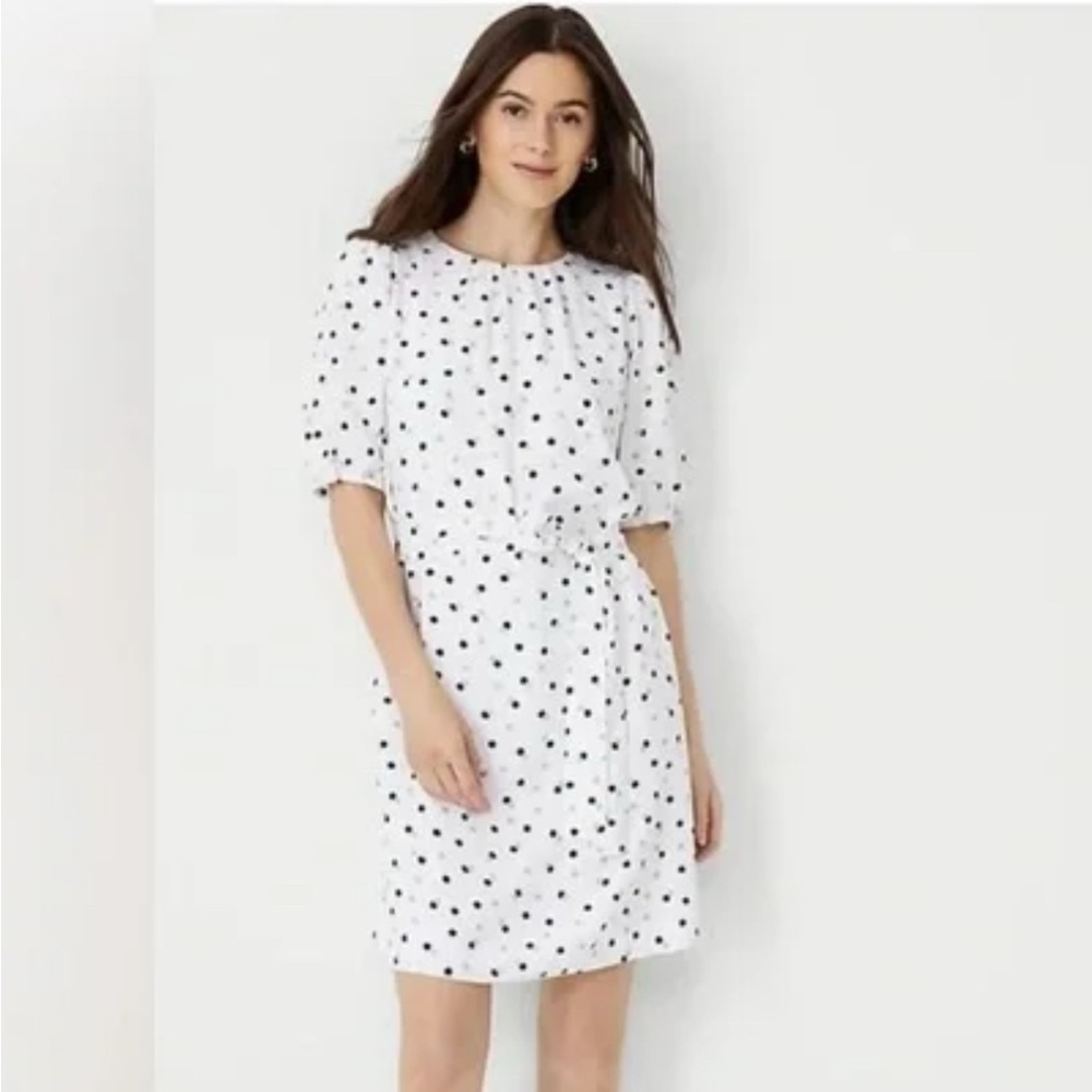 Ann Taylor shirred polkadot retro babydoll feminine romantic dress white-black S